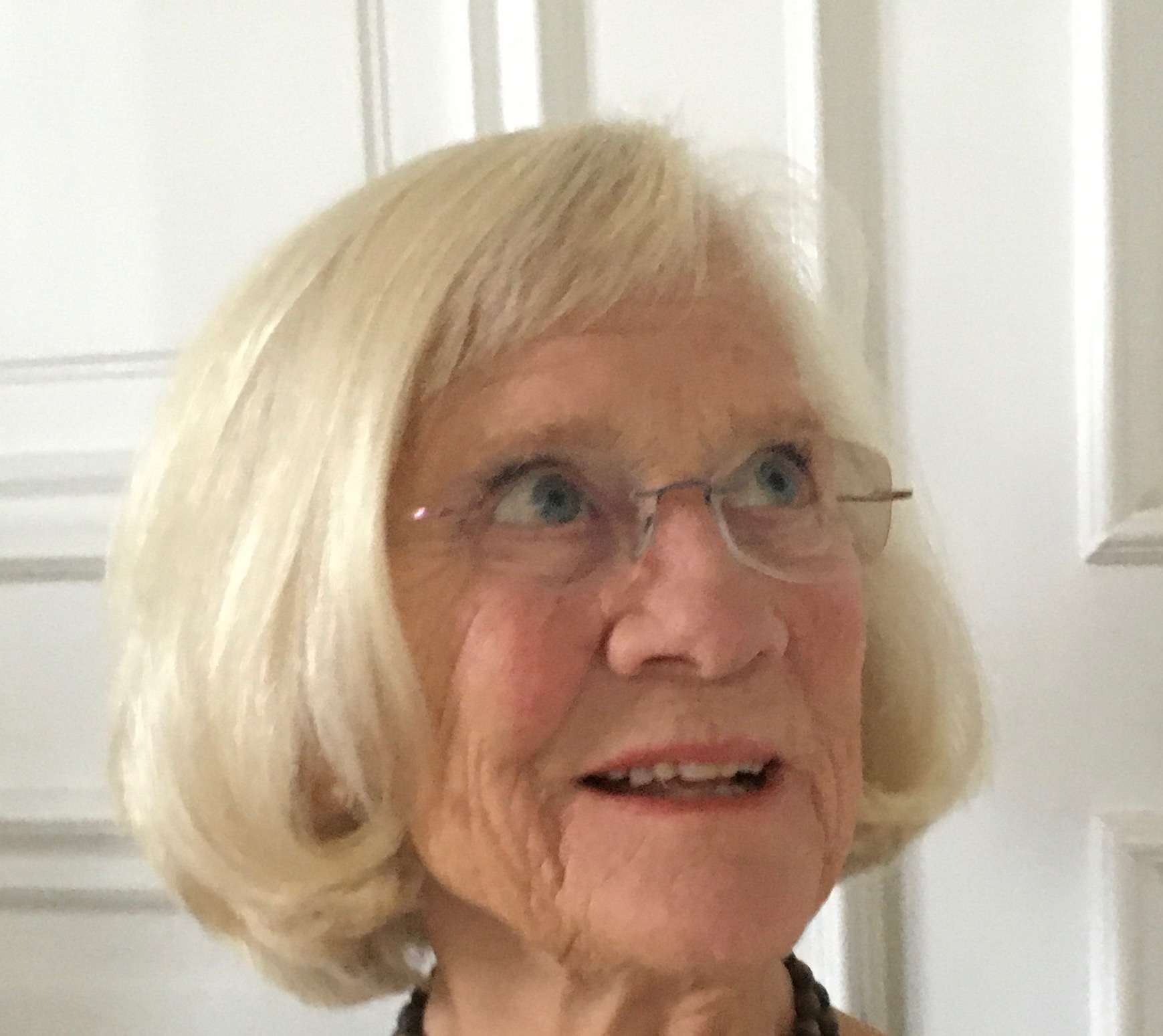 Agneta Stenkula
